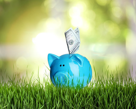 Blue piggy bank with money on fresh green grass against blurred background