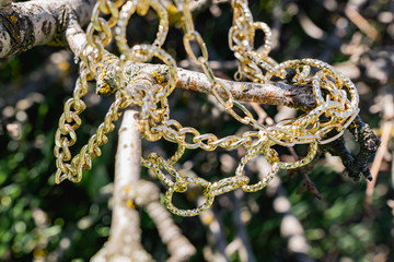 This season, multi-tiered chains of different types and sizes are fashionable. Faceted Golden links...