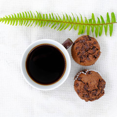 Coffee cup and cup cake with green fern leaf on white background. Top view with copy space for text
