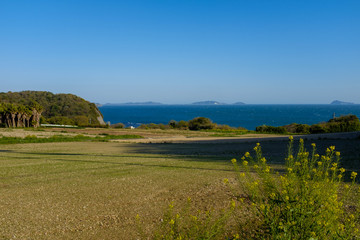 丘から望む海景色