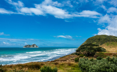 Traumstrand in Neuseeland an der Küste - 339092957