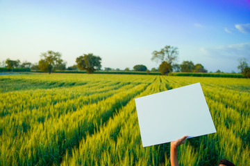 poster template background of agriculture background