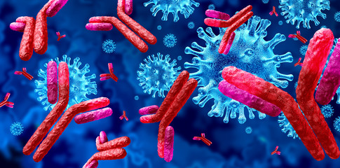 Antibody  Immunoglobulin - obrazy, fototapety, plakaty