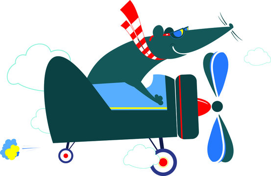 Rat or mouse a pilot on the airplane illustration. Cartoon rat or mouse flies on the airplane isolated on white illustration
