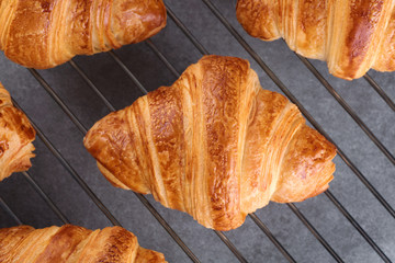 Metallic rack with fresh baked croissants on a gray background.