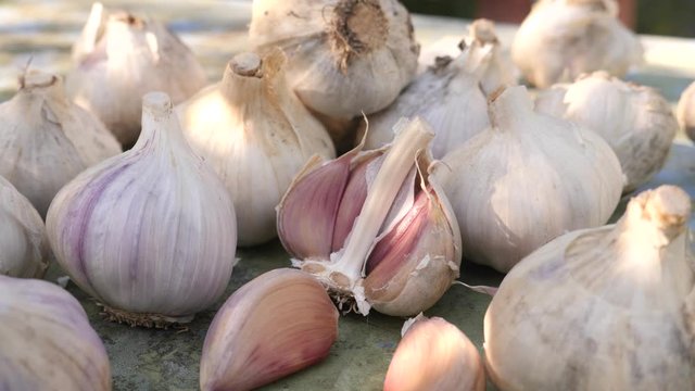 Garlic clove or garlic bulb on vintage wooden background. Concept of healthy spice food