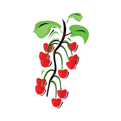 Cherry vector icon isolated on a white background in EPS10