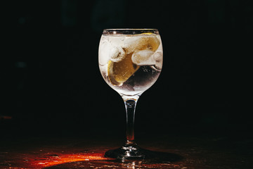 alcoholic drink (gin and tonic) with lemon, lime and ice. Gin tonic. Delicious Gin Tonic cocktail decorated with lime slices standing on the steel bar counter on the blurred background