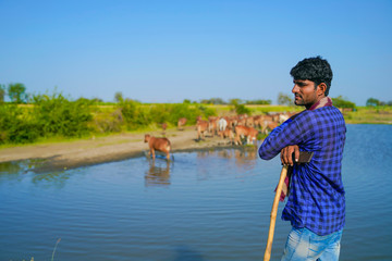 young indian farmer with his cattle