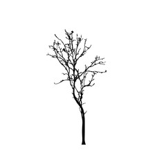 Tree silhouettes on white background. Vector illustration.