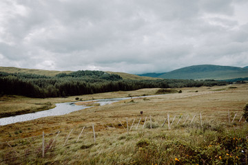 Fototapeta premium Scottish Highlands