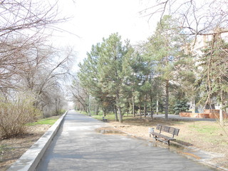 Road in the park with a sitting place