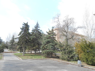 Landscape's view with a different types of trees