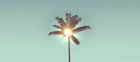 Fototapeten Tropical palm tree silhouette against bright sunlight. 3d rendering © ink drop