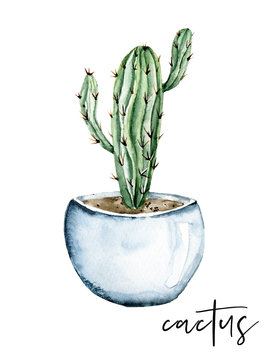 recommend clip art: Cactus in pot watercolor clip art. Sketch isolated on white background.