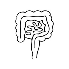 Human colon, digestive system,  internal organs,  intestines icon. Hand drawn doodle vector illustration isolated on white background for proctology clinic