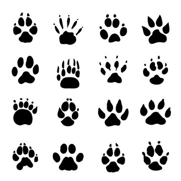 Set of Animal Spoor Footprints element Icon Vector illustration.
