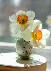 flower in vase