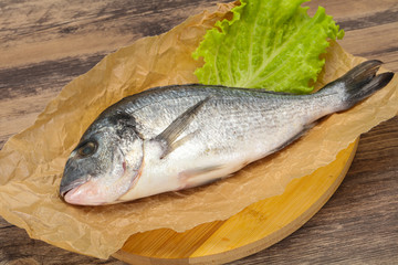 Raw Dorada fish  for cooking