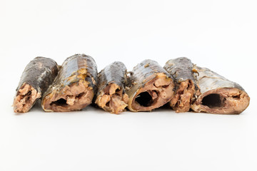 Canned saury on white background