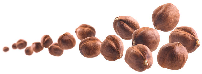 Peeled hazelnut levitates on a white background