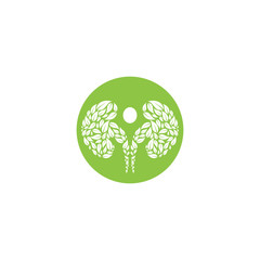 kidney vector illusrtation design logo