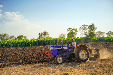 Indian / Asian farmer with tractor preparing land for sowing with cultivator, An Indian farming scene.