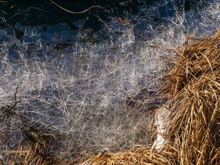 abstract background with dry grass, thin ice and water textures