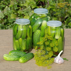 Home canning of cucumbers. Jars of pickles cucumbers on the table in the garden