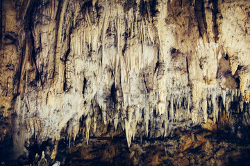 Baraceve Spilje, Croatia.  A cave that has the remains of an ancient bear.