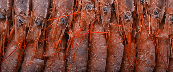 frozen king prawns, macro background seafood, fresh red prawns