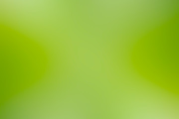green gradient background / abstract blurry fresh green background