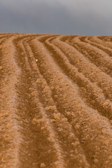 Ackerfeld pfügen landwirtschaft