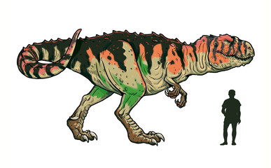 Fototapeta premium Carnivorous dinosaur - giganotosaurus. Comparison between dinosaur and human. Dino coloring page.