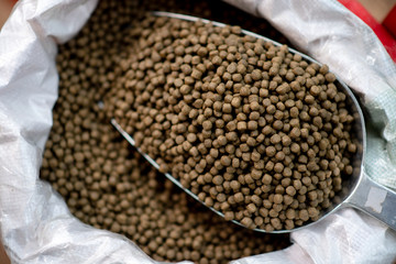 Small, light brown granule with a high nutritional value: milk powder and agricultural grains for...