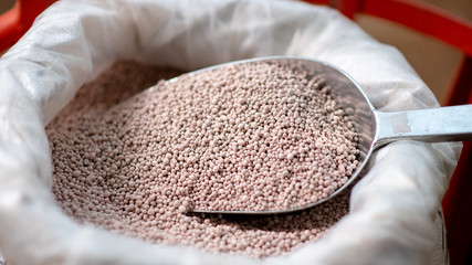 Chemical fertilizer in sack, blurry background, NPK fertilizer for plants