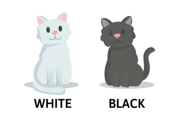 Words white and black textcard with two cartoon cats characters. Opposite adjectives explanation card. Flat vector illustration, isolated on white background.