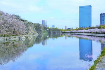 春の大阪城