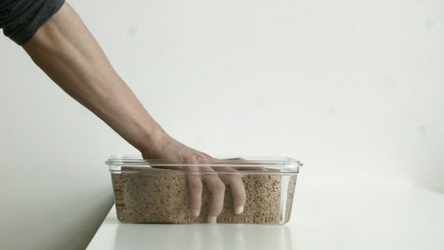 Placing a giant sponge into a container of water.