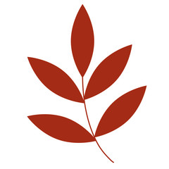 an isolated element of the leaf to use