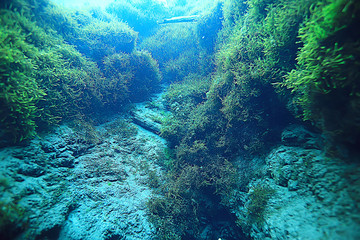 stones at the bottom underwater landscape, abstract blurred under water background