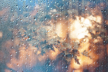 background wet glass drops autumn in the park / view of the landscape in the autumn park from a wet window, the concept of rainy weather on an autumn day