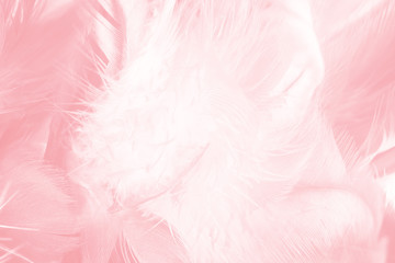 Beautiful light pink feather pattern texture background