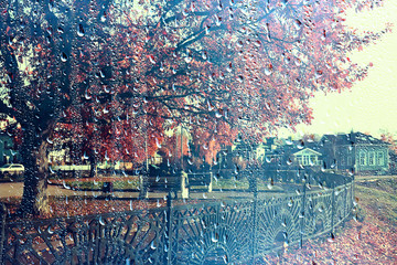 Obraz na płótnie Canvas rain window autumn park branches leaves yellow / abstract autumn background, landscape in a rainy window, weather October rain