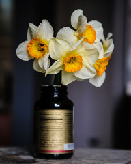 a bouquet in a bottle of daffodils in a dark room