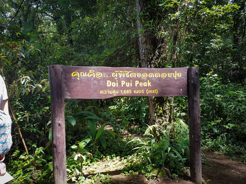 Doi pui peak sign path viewpoint jungle forest north chiang mai thailand