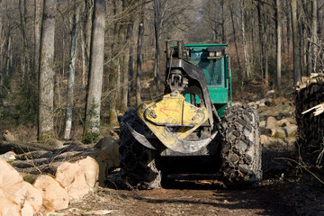 Fototapeta premium Travaux forestier, débardage et bucheronnage