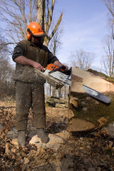Travaux forestier, débardage et bucheronnage