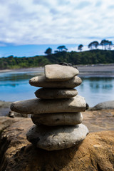 Tree sisters and elephant rock beach, North Island, New Zealand