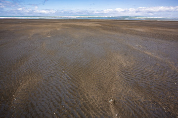 Fototapeta premium Tree sisters and elephant rock beach, North Island, New Zealand